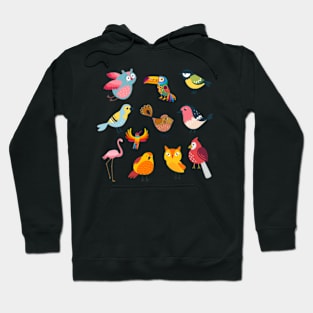 Enjoy the Natural World Bird Lovers Hoodie